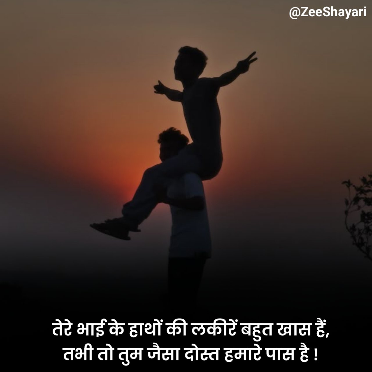 Bhai Shayari in Hindi भाई के लिए शायरी